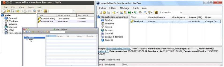 download keepass password safe professional edition (2.51.1)